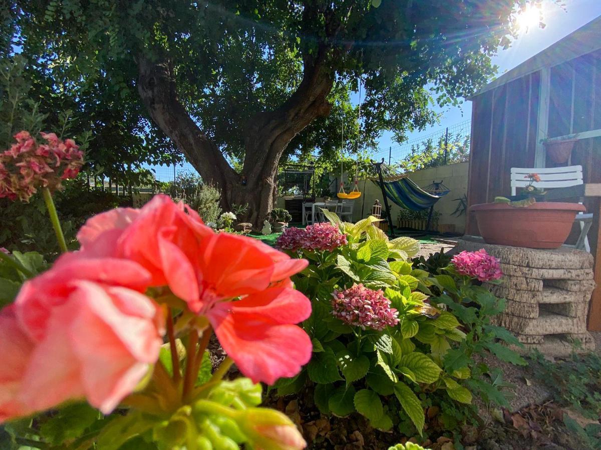 La Casa Del Carrubo Villa Cagliari Bagian luar foto